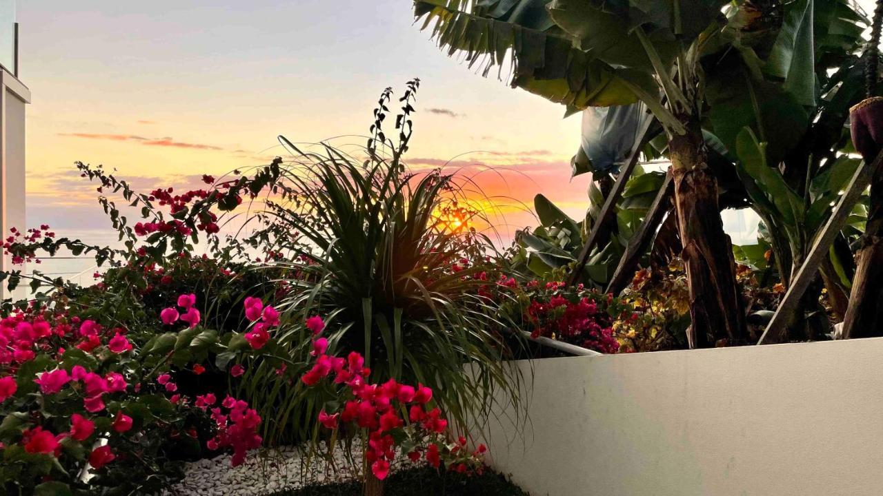 Holiday Apartment Sunset Ocean リベイラ・ブラーヴァ エクステリア 写真